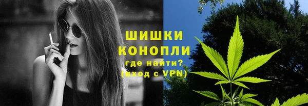 мдпв Дмитров