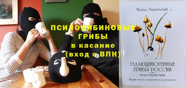 мдпв Дмитров