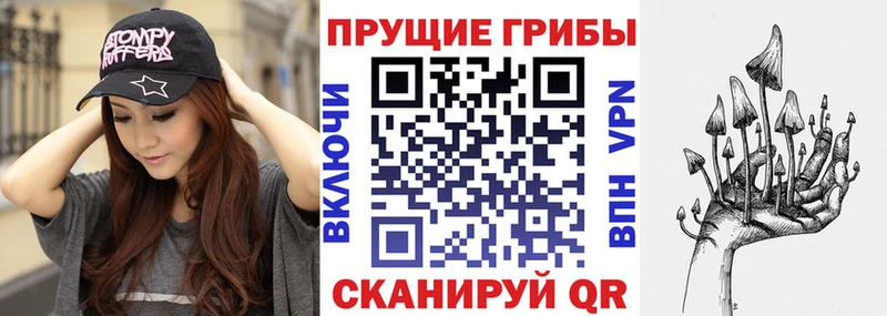 Купить закладки Ишим Галлюциногенные грибы прущие грибы